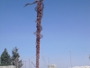 cimg3094